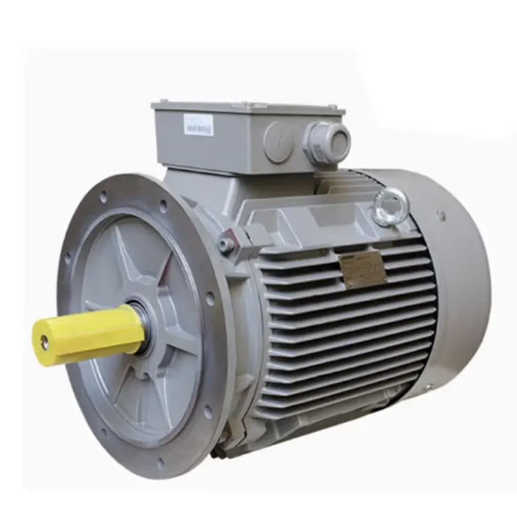 Siemensa 1FL6096-1AC61-2LA1